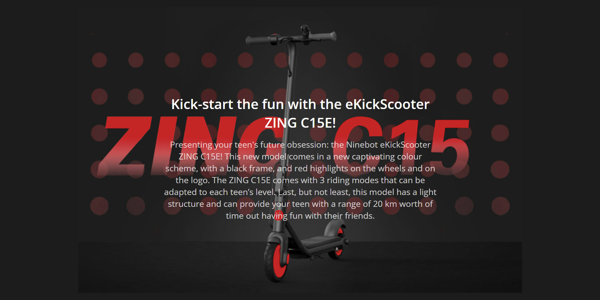 Segway Ninebot KickScooter C15E