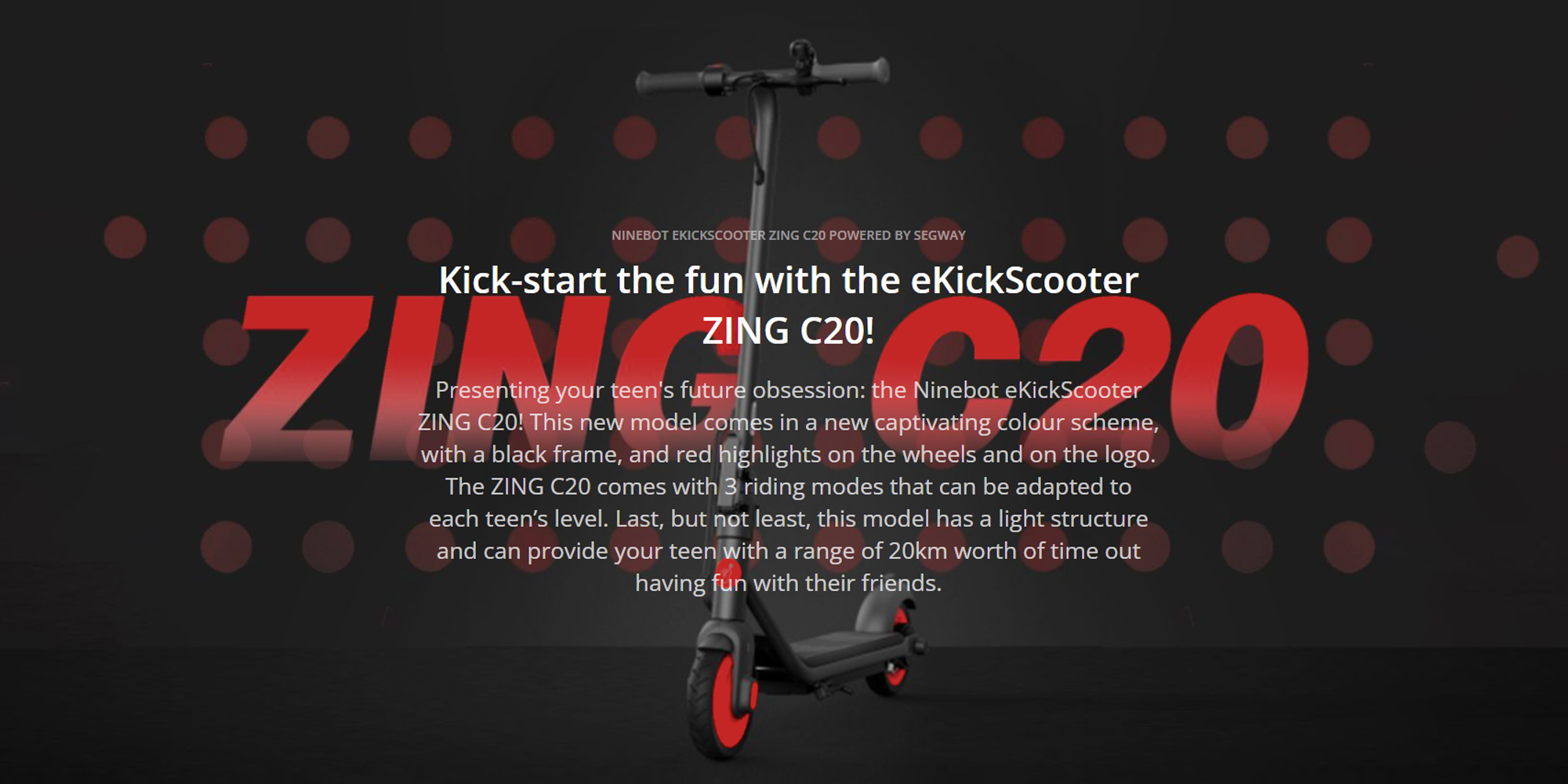 Segway Ninebot eKickScooter ZING C20